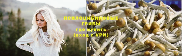 MDMA Premium VHQ Волоколамск